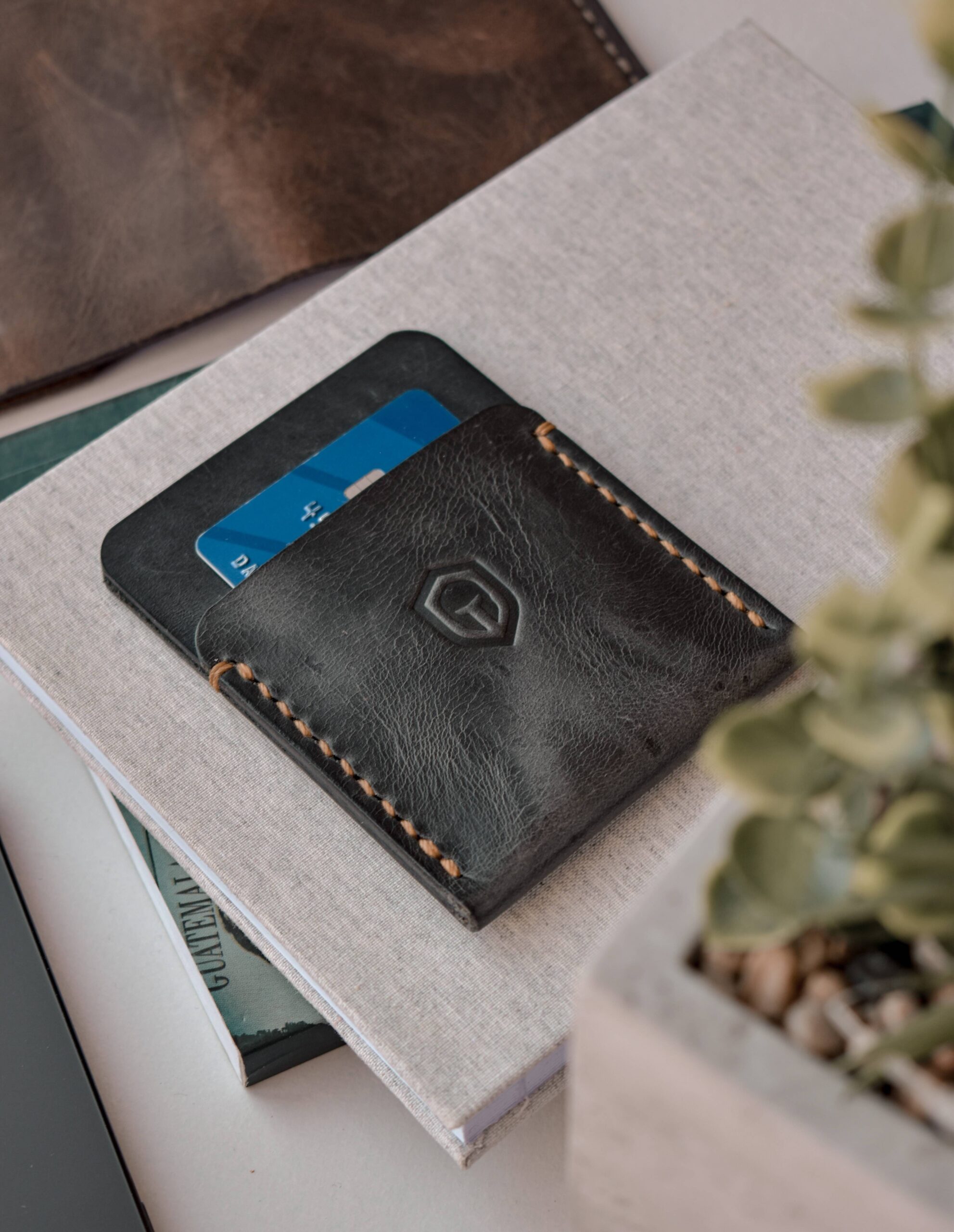 IMG_1313ed (1) IMG_1313ed (1)